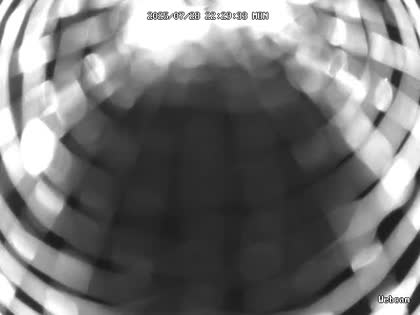 2025-07-29