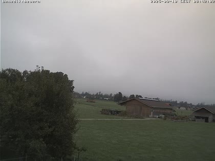 2025-09-10