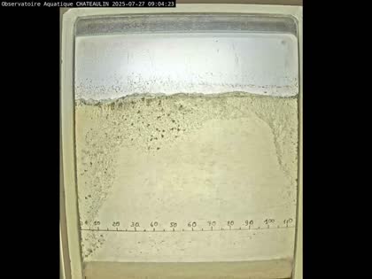 2025-07-27