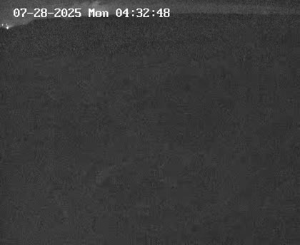 2025-07-28