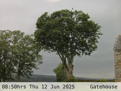 2025-06-12