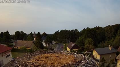 2025-08-16
