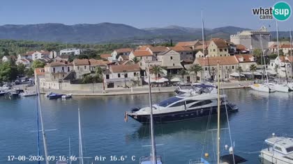 2026-08-17