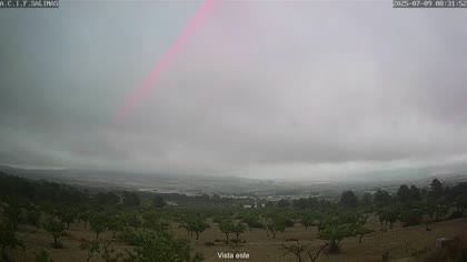 2025-07-09