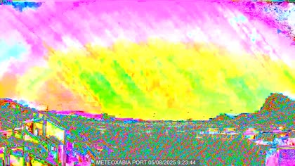 2025-08-05