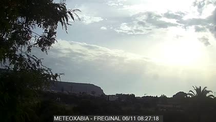 2025-06-11