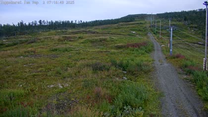 2025-09-02