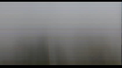 2025-07-23