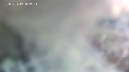 2025-08-19