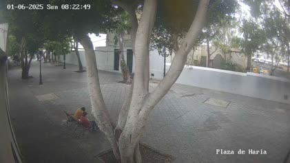 2025-06-01