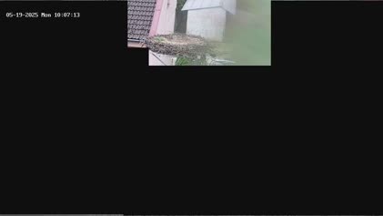 2025-05-19
