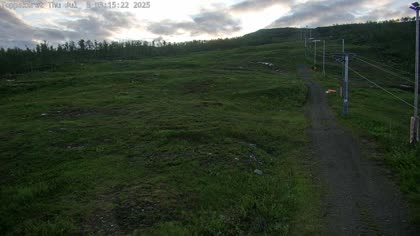 2025-07-03