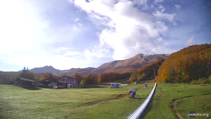 2026-10-19