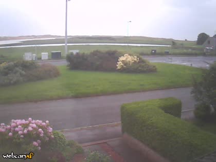 2026-06-08