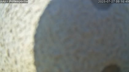 2025-07-27