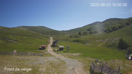 2025-06-03