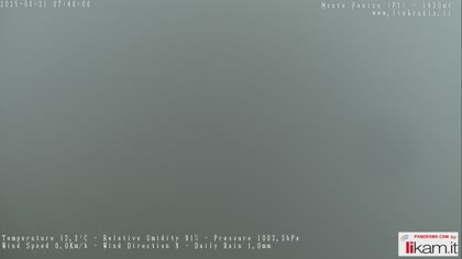 2025-08-21