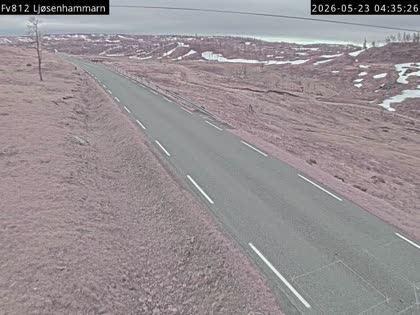 2026-05-23