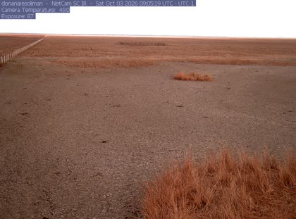2026-10-03