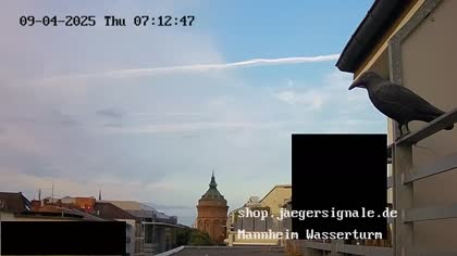 2025-09-04
