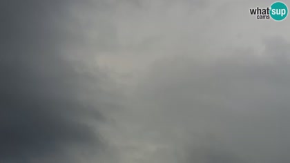 2026-05-11