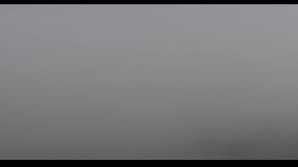 2025-08-17