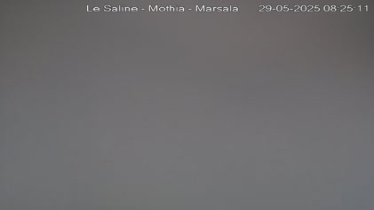 2025-05-29