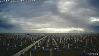 2025-07-29