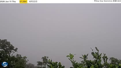 2026-06-11