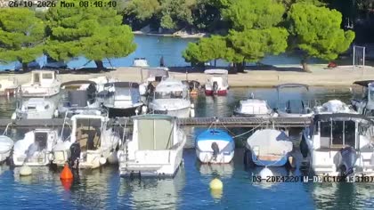 2026-10-26