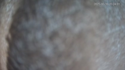 2025-06-30