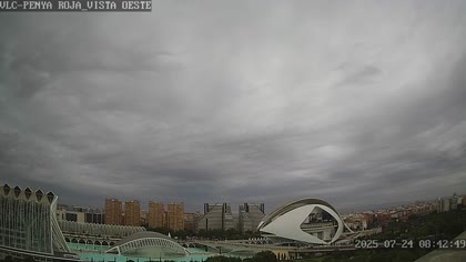 2025-07-24