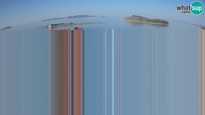 2025-07-22