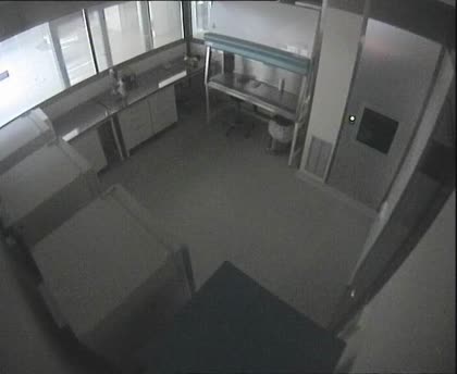 2025-10-19