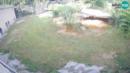 2026-07-19