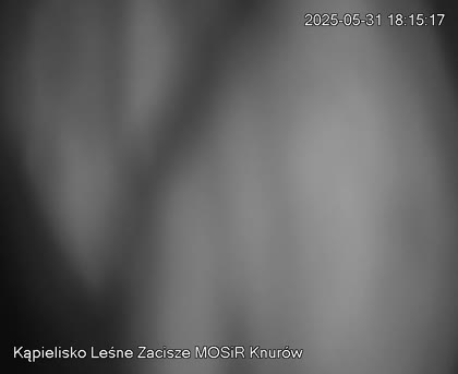 2025-05-31