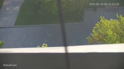 2025-05-10