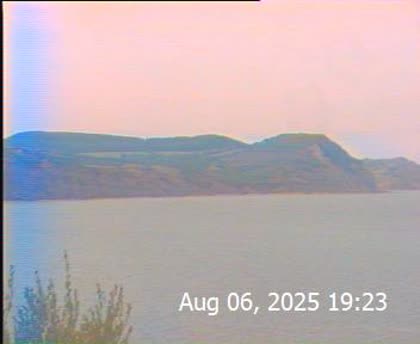 2025-08-07