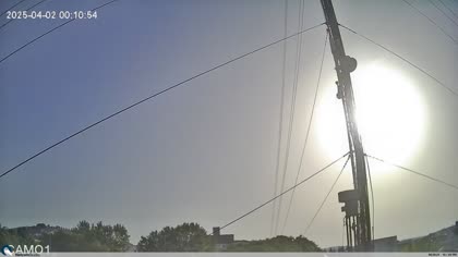 2025-08-04