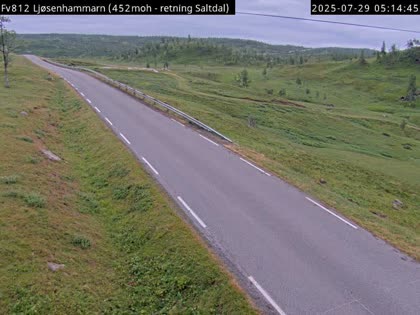 2025-07-29