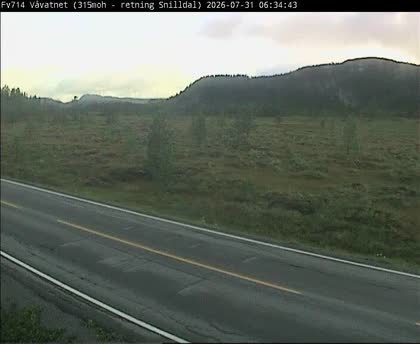 2026-07-31