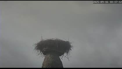 2025-09-16