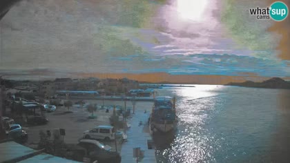 2026-10-11