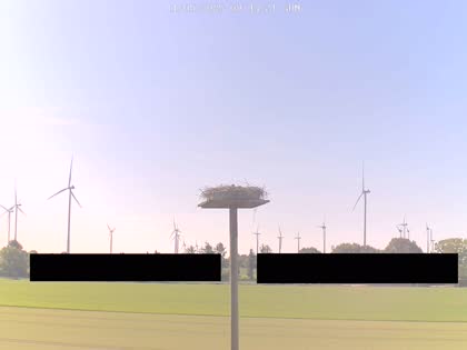 2025-05-11