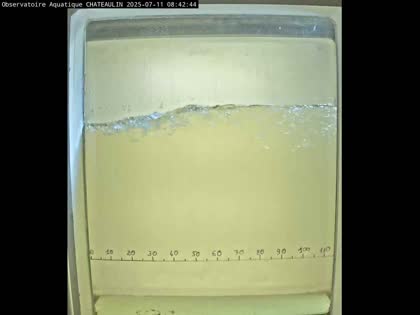 2025-07-11
