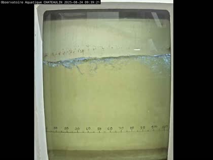 2025-08-24