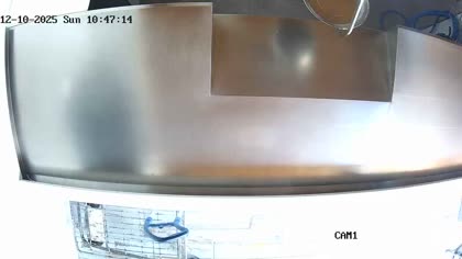 2025-10-12