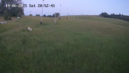 2025-06-14