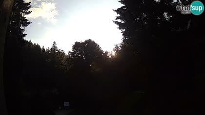 2025-07-19