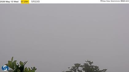 2026-05-13